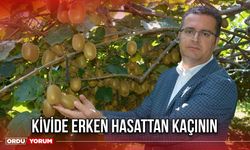 Kivide Erken Hasattan Kaçının