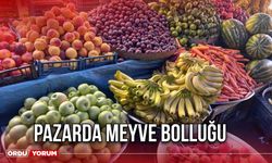 Pazarda Meyve Bolluğu