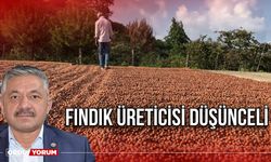 Fındık Üreticisi Düşünceli!