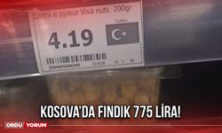 Kosova’da Fındık 775 Lira!