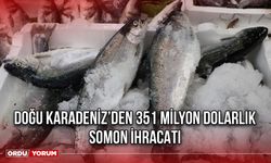 Doğu Karadeniz’den 351 Milyon Dolarlık Somon İhracatı