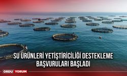 Su Ürünleri Yetiştiriciliği Destekleme Başvuruları Başladı