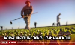 Tarımsal Destekleme Ödemesi Hesaplara Aktarıldı