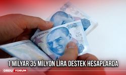 1 Milyar 35 Milyon Lira Destek Hesaplarda