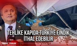 Tehlike Kapıda Türkiye Fındık İthal Edebilir