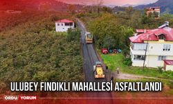 Ulubey Fındıklı Mahallesi Asfaltlandı