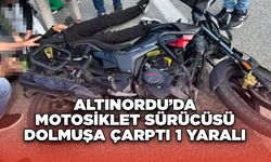 Altınordu’da Motosiklet Sürücüsü Dolmuşa Çarptı 1 Yaralı