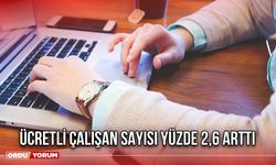 Ücretli Çalışan Sayısı Yüzde 2,6 Arttı