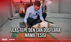 Ulaş Tepe’den Can Dostlara Mama Tesisi