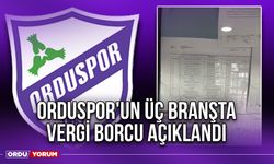 Orduspor'un Üç Branşta Vergi Borcu Açıklandı