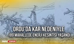 Ordu'da Kar Nedeniyle 189 Mahallede Enerji Kesintisi Yaşandı