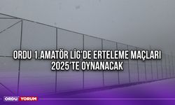 Ordu 1.Amatör Lig'de Erteleme Maçları 2025'te Oynanacak