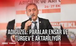 Adıgüzel: Paralar Ensar ve Türgev’e Aktarılıyor