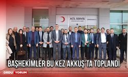 Başhekimler Bu Kez Akkuş’ta Toplandı