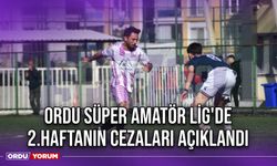 Ordu Süper Amatör Lig'de 2.Haftanın Cezaları Açıklandı