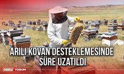 Arılı Kovan Desteklemesinde Süre Uzatıldı