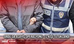 Ordu’da Asayiş Operasyonu: 12 Kişi Tutuklandı