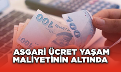 Asgari Ücret Yaşam Maliyetinin Altında