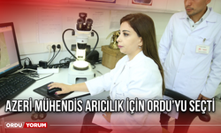 Azeri Mühendis Arıcılık İçin Ordu’yu Seçti