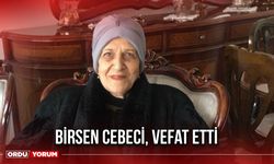 Birsen Cebeci, Vefat Etti