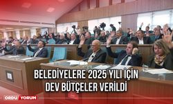 Belediyelere 2025 Yılı İçin Dev Bütçeler Verildi