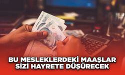 Bu mesleklerdeki maaşlar sizi hayrete düşürecek