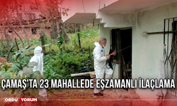 Çamaş'ta 23 Mahallede Eşzamanlı İlaçlama