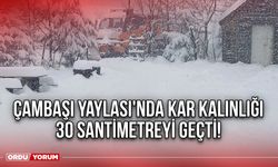 Çambaşı Yaylası'nda Kar Kalınlığı 30 Santimetreyi Geçti!