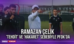 Ramazan Çelik 'Tehdit' ve 'Hakaret' Sebebiyle PFDK'da