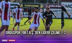 Orduspor 1967 A.Ş.’den Lidere Çelme 1-2