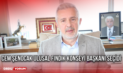 Cem Şenocak, Ulusal Fındık Konseyi Başkanı Seçildi