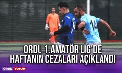 Ordu 1.Amatör Lig'de Haftanın Cezaları Açıklandı