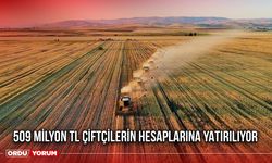 509 Milyon TL Çiftçilerin Hesaplarına Yatırılıyor