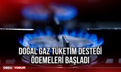 Doğal Gaz Tüketim Desteği  başladı