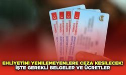 Ehliyetini Yenilemeyenlere Ceza Kesilecek! İşte Gerekli Belgeler ve Ücretler