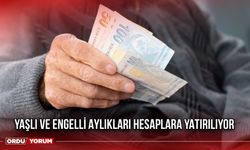 Yaşlı ve Engelli Aylıkları Hesaplara Yatırılıyor