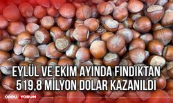 Eylül ve Ekim Ayında Fındıktan 519,8 milyon dolar kazanıldı