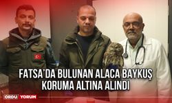 Fatsa’da Bulunan Alaca Baykuş Koruma Altına Alındı