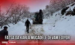 Fatsa’da Karla Mücadele Devam Ediyor