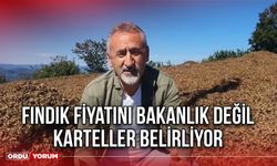 Fındık Fiyatını Bakanlık Değil Karteller Belirliyor