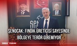 Şenocak: Fındık Üreticisi Sayesinde Bölgeye Terör Giremiyor