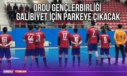 Ordu Gençlerbirliği Galibiyet İçin Parkeye Çıkacak