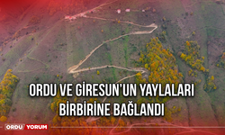 Ordu ve Giresun’un Yaylaları Birbirine Bağlandı