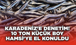 Karadeniz'e denetim! 10 Ton Küçük Boy Hamsi'ye El Konuldu