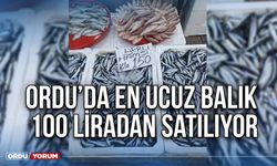 Ordu’da En Ucuz Balık 100 liradan satılıyor