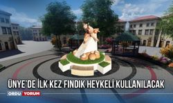 Ünye’de İlk Kez Fındık Heykeli Kullanılacak