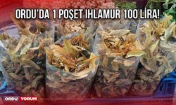 Ordu’da 1 Poşet Ihlamur 100 Lira!