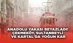 Anadolu Yakası Beyazladı! Çekmeköy, Sultanbeyli ve Kartal'da Yoğun Kar