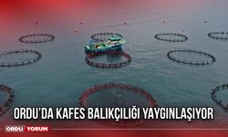 Ordu’da Kafes Balıkçılığı Yaygınlaşıyor