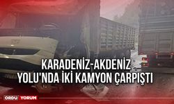 Karadeniz-Akdeniz Yolu'nda İki Kamyon Çarpıştı